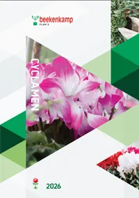 Beekenkamp Syklaamit 2026